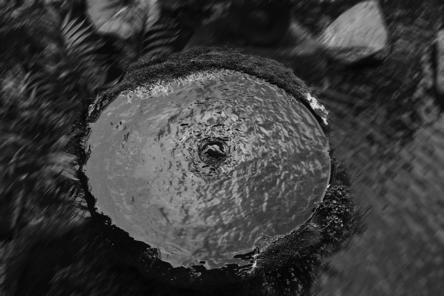 06 WIA2024045D5840